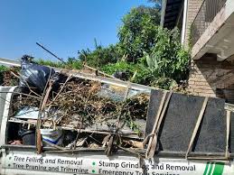 Best Estate Cleanout  in Mentone, CA